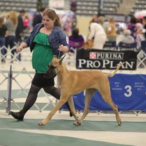 Meet your Posher, Jamie